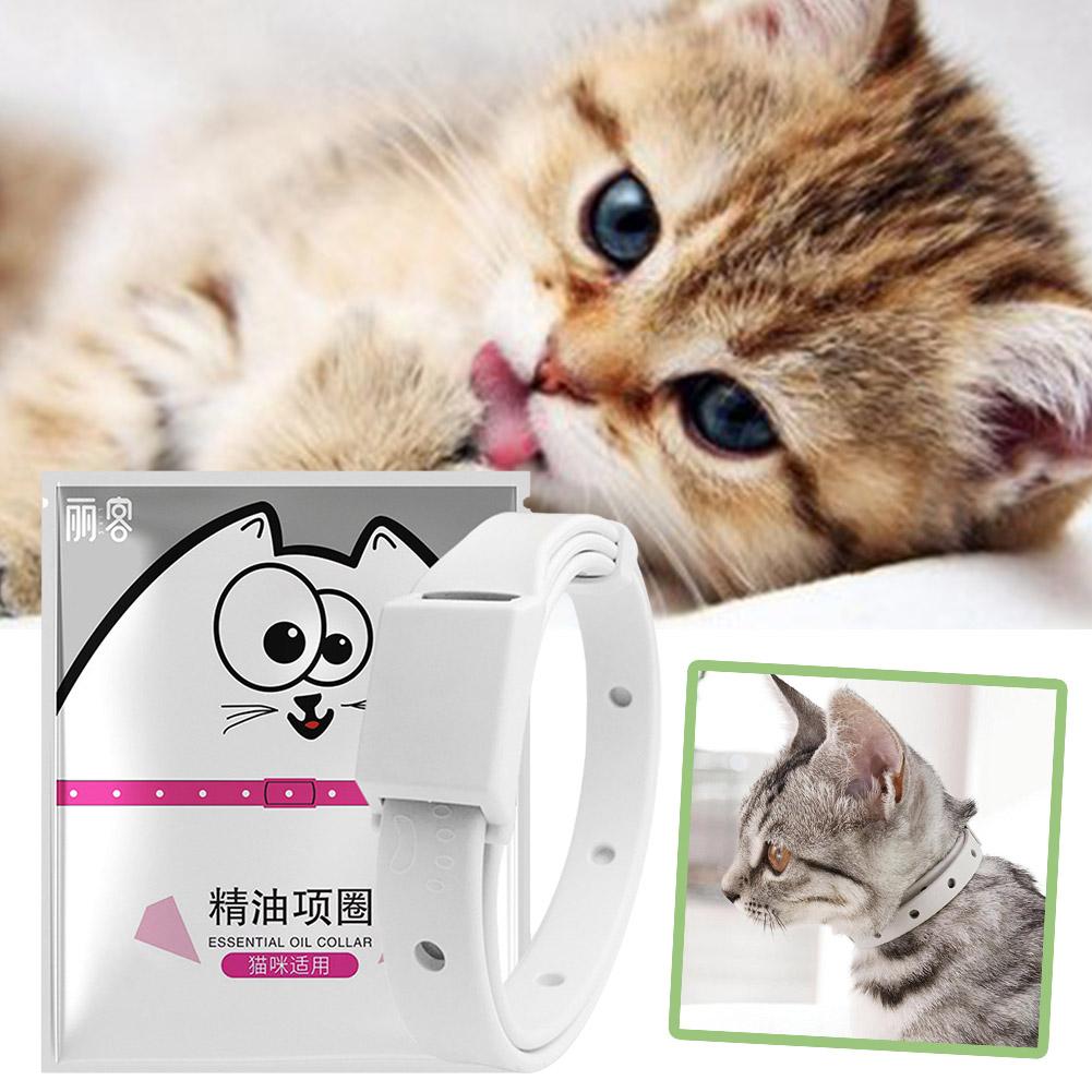 Dog Muzzle Silicone - Retractable Pet Products Flea Tick Collar