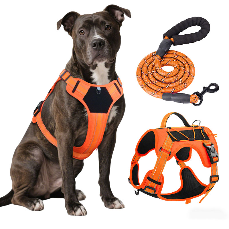 Dog Harness and Leash Set for  – обзор и цена No Pull Dog Harness