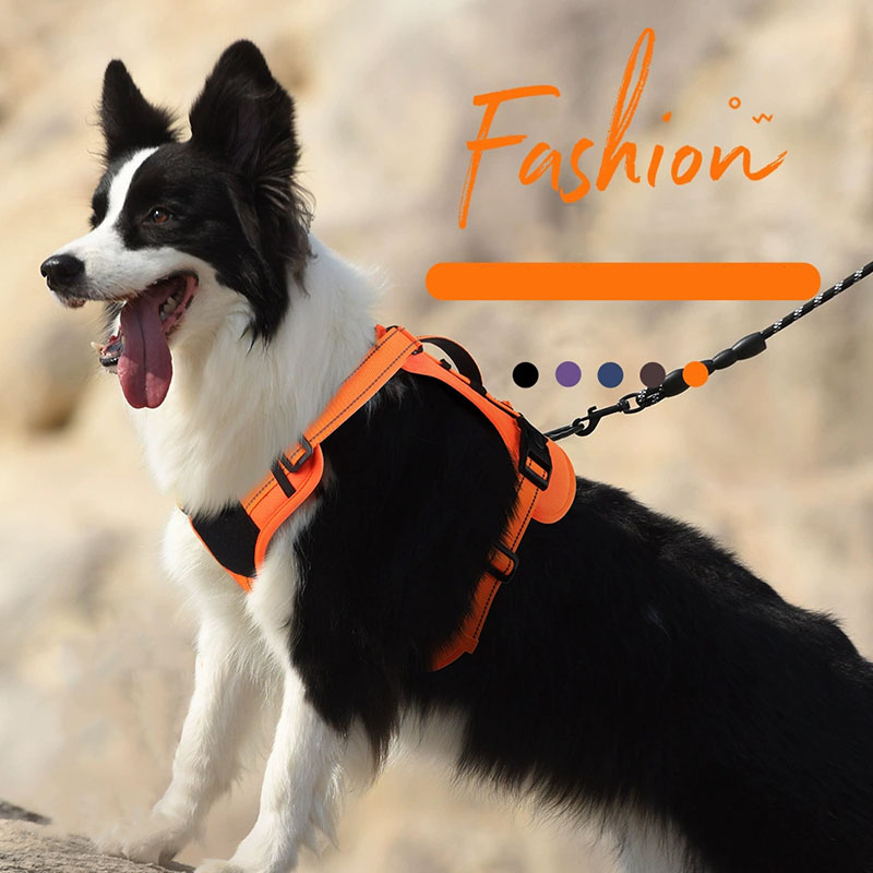 Dog Harness and Leash Set for  – обзор и цена No Pull Dog Harness