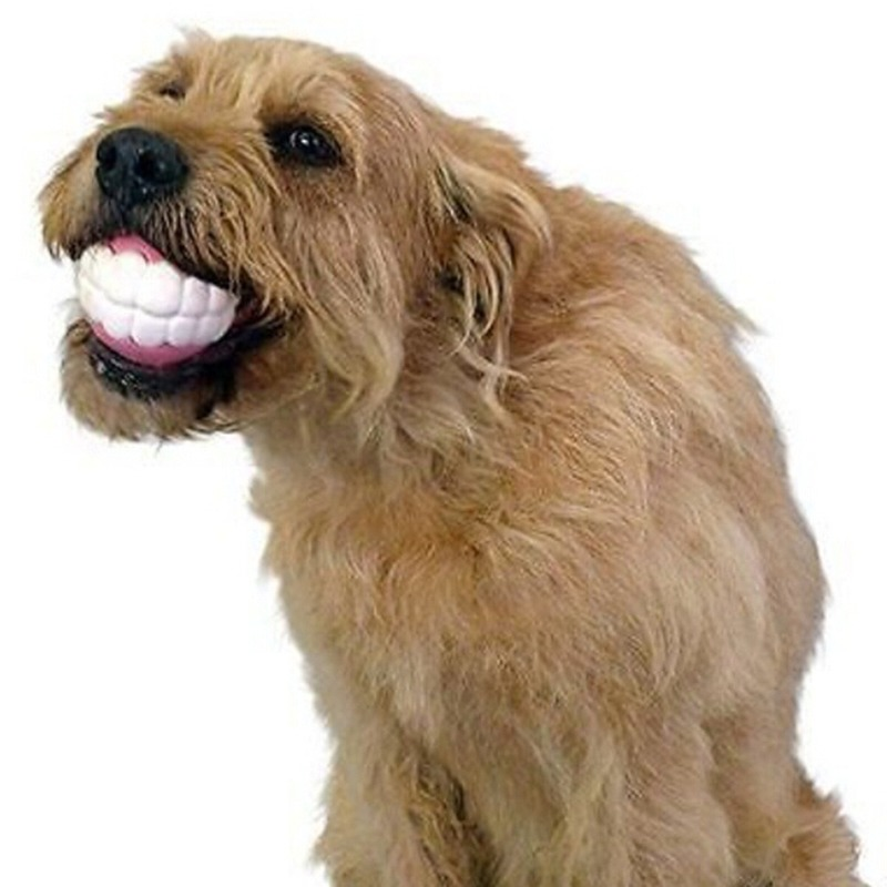 Pet Dog Puppy Ball Teeth Silic – обзор и цена Dog Muzzle Silicone