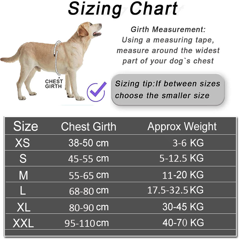 Dropshipping Dog Harness Vest  – обзор и цена No Pull Dog Harness