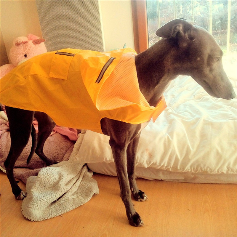 Dog Raincoat Waterproof Hoodie – обзор и цена Dog Raincoat