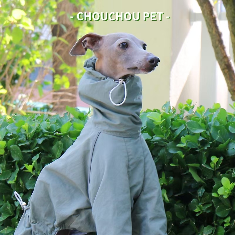 Italian Greyhound Raincoat Aut – обзор и цена Dog Raincoat