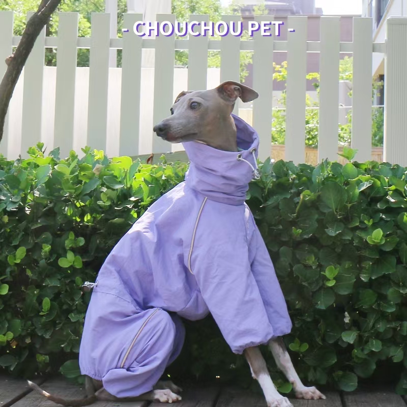 Italian Greyhound Raincoat Aut – обзор и цена Dog Raincoat