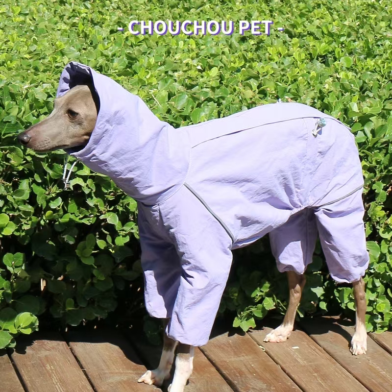 Italian Greyhound Raincoat Aut – обзор и цена Dog Raincoat