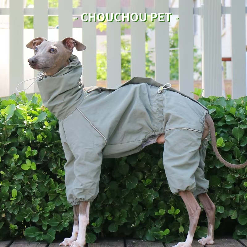 Italian Greyhound Raincoat Aut – обзор и цена Dog Raincoat