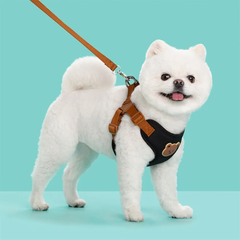 Creative Cute Pet Harness Leas – обзор и цена No Pull Dog Harness