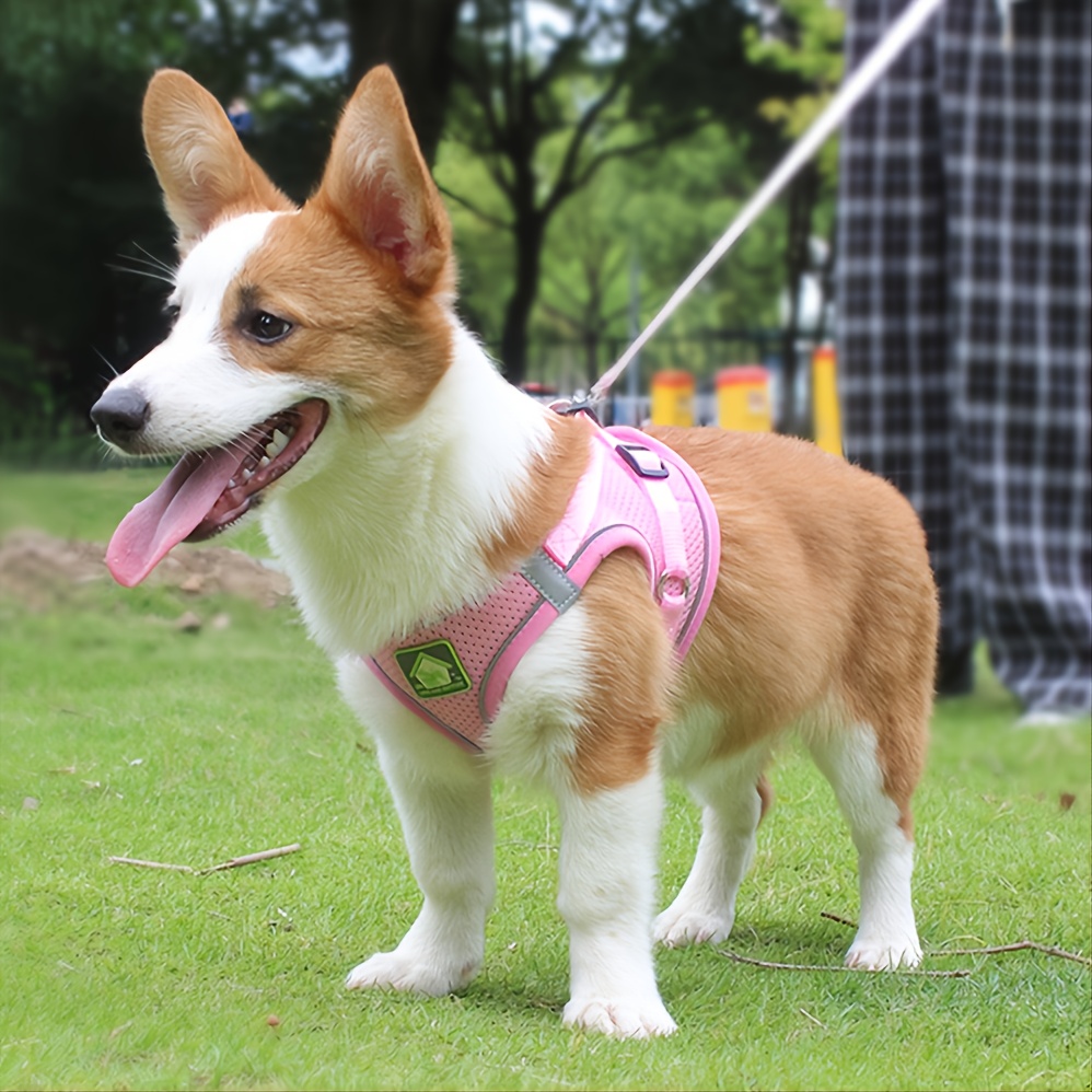 Reflective Pet Harness And Lea – обзор и цена No Pull Dog Harness
