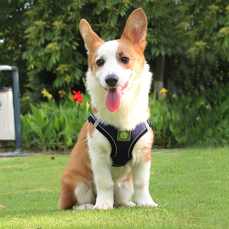 Reflective Pet Harness And Lea – обзор и цена No Pull Dog Harness