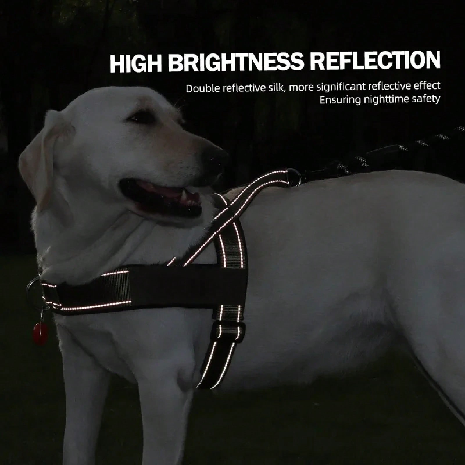 Heavy Duty No-Pull Dog Harness – обзор и цена No Pull Dog Harness