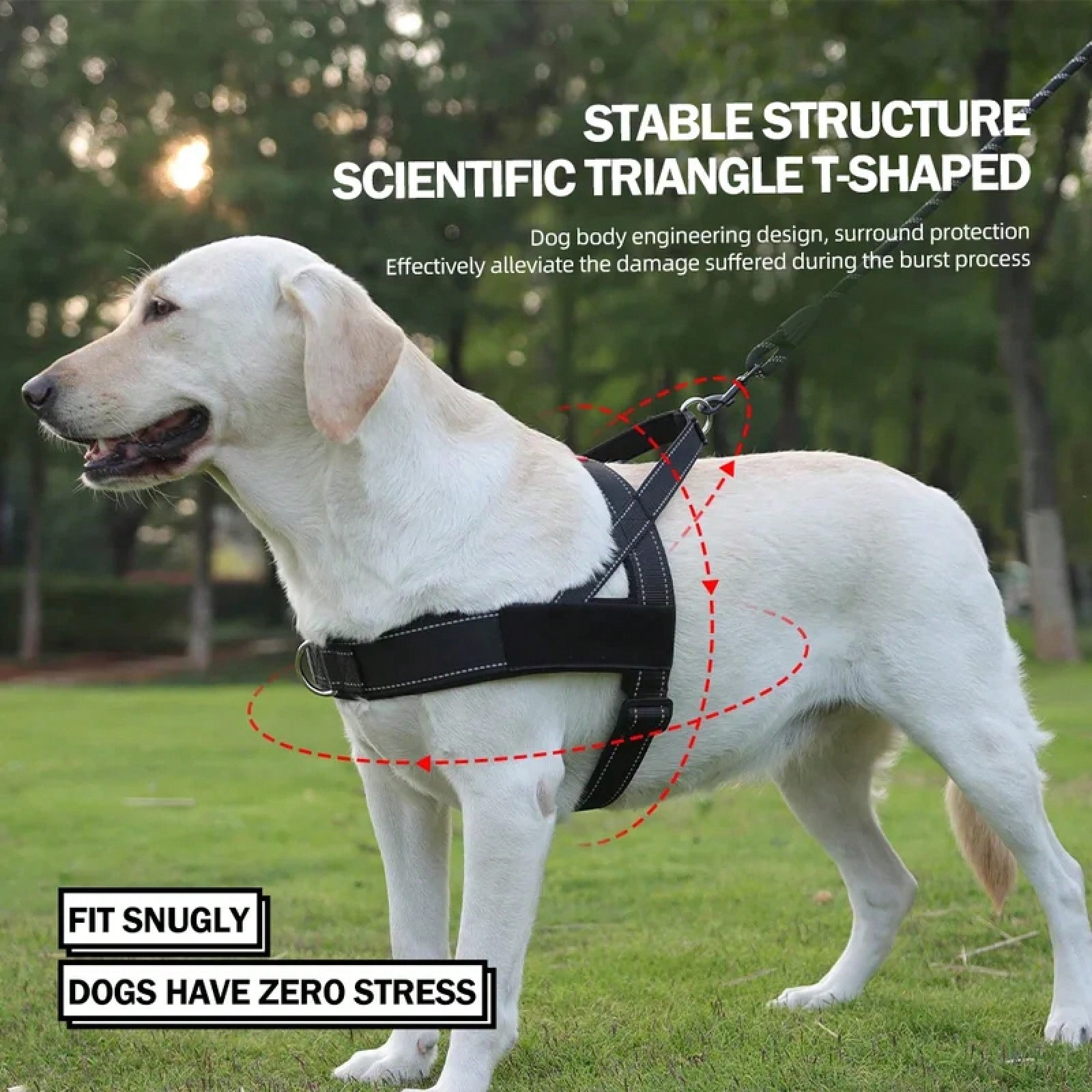 Heavy Duty No-Pull Dog Harness – обзор и цена No Pull Dog Harness