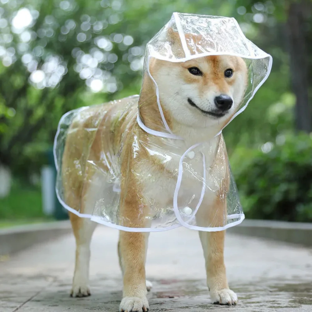 Dog Raincoat Puppy Transparent – обзор и цена Dog Raincoat