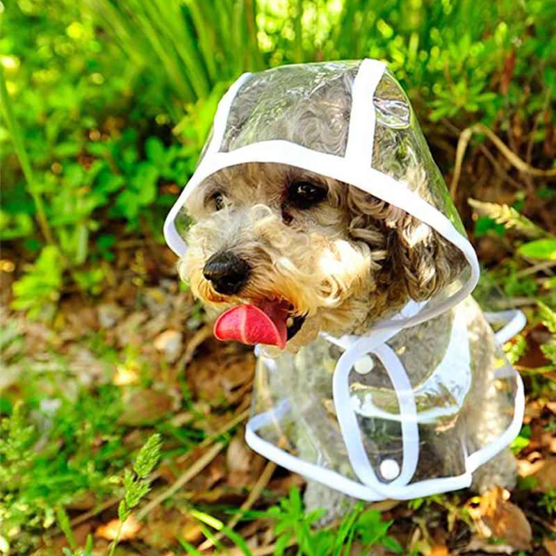 Dog Raincoat Puppy Transparent – обзор и цена Dog Raincoat