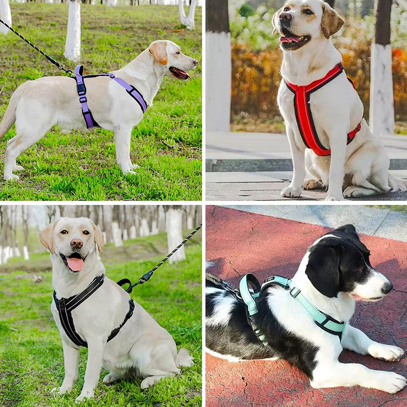 New Pet Dog Harness No-pull Do – обзор и цена No Pull Dog Harness