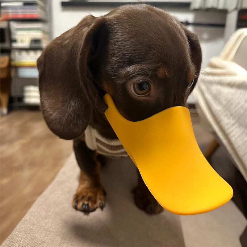 Dog Silicone Duck Muzzle For W – обзор и цена Dog Muzzle Silicone