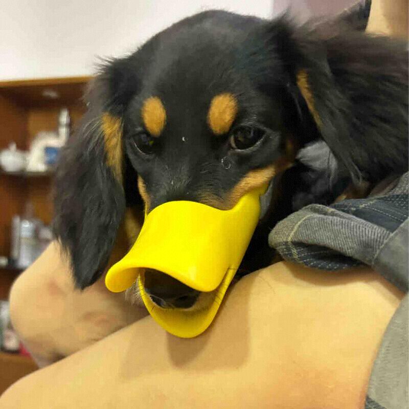 Dog Silicone Duck Muzzle For W – обзор и цена Dog Muzzle Silicone