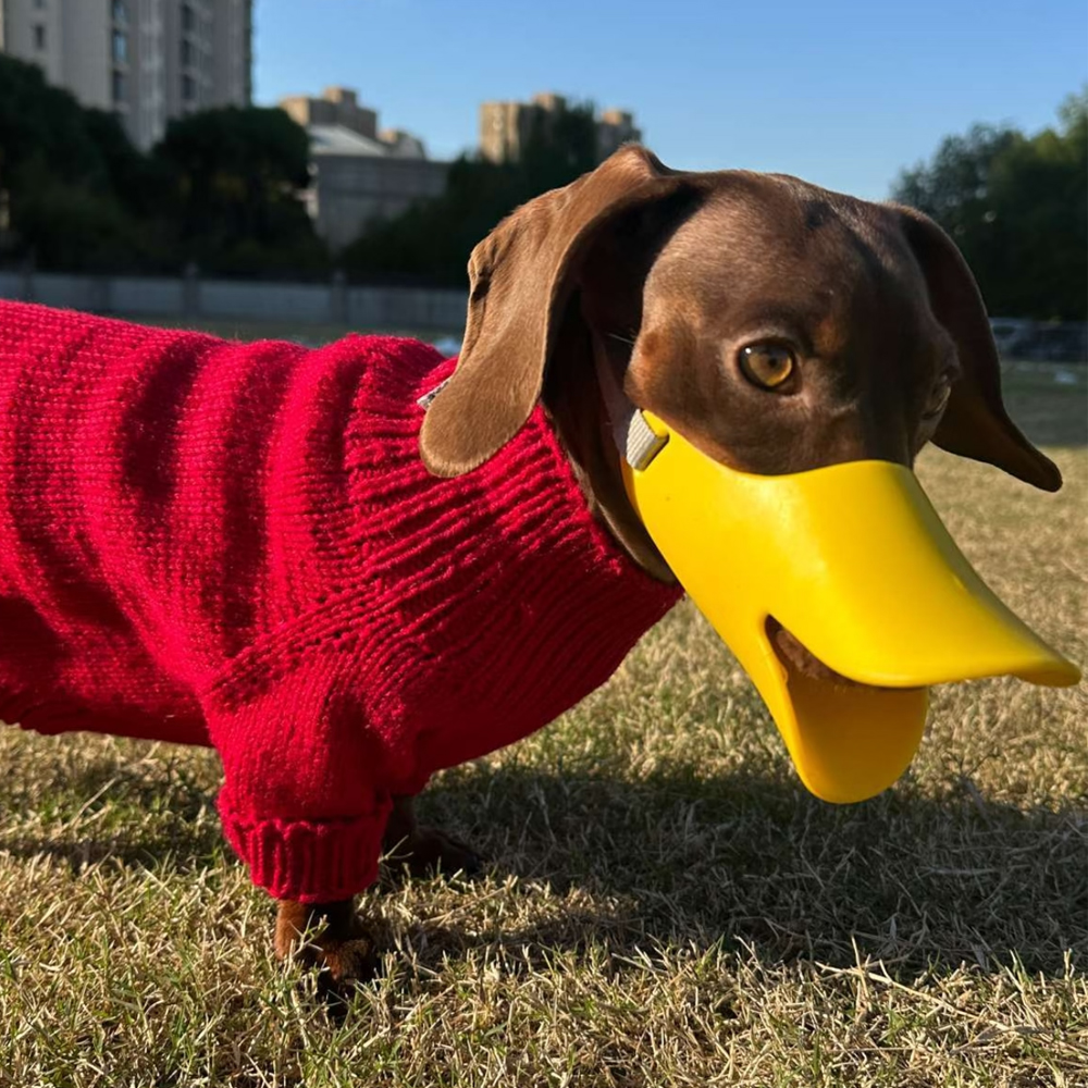 Dog Silicone Duck Muzzle For W – обзор и цена Dog Muzzle Silicone