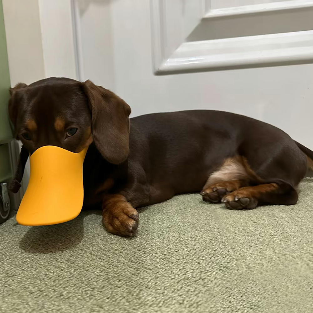 Dog Silicone Duck Muzzle For W – обзор и цена Dog Muzzle Silicone