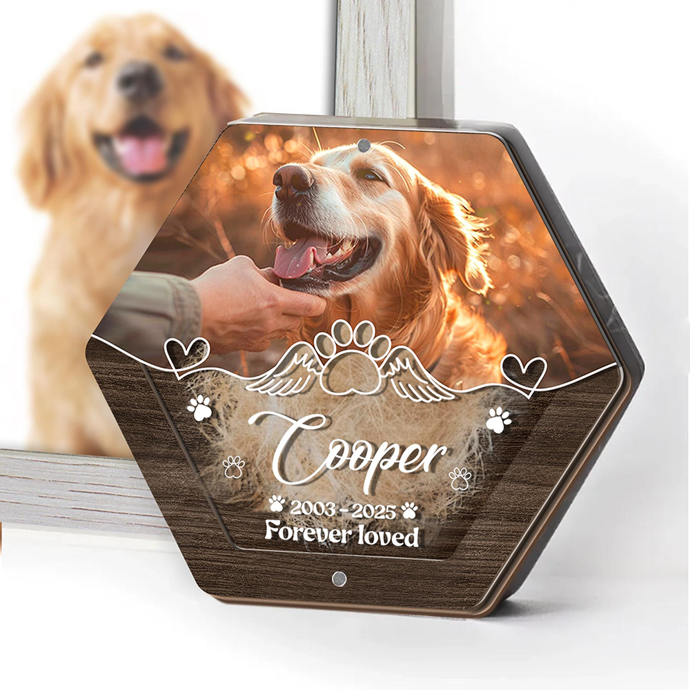 Personalized Name Wooden Carvi – обзор и цена Pet Supplies Store