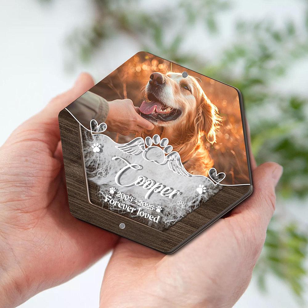 Personalized Name Wooden Carvi – обзор и цена Pet Supplies Store
