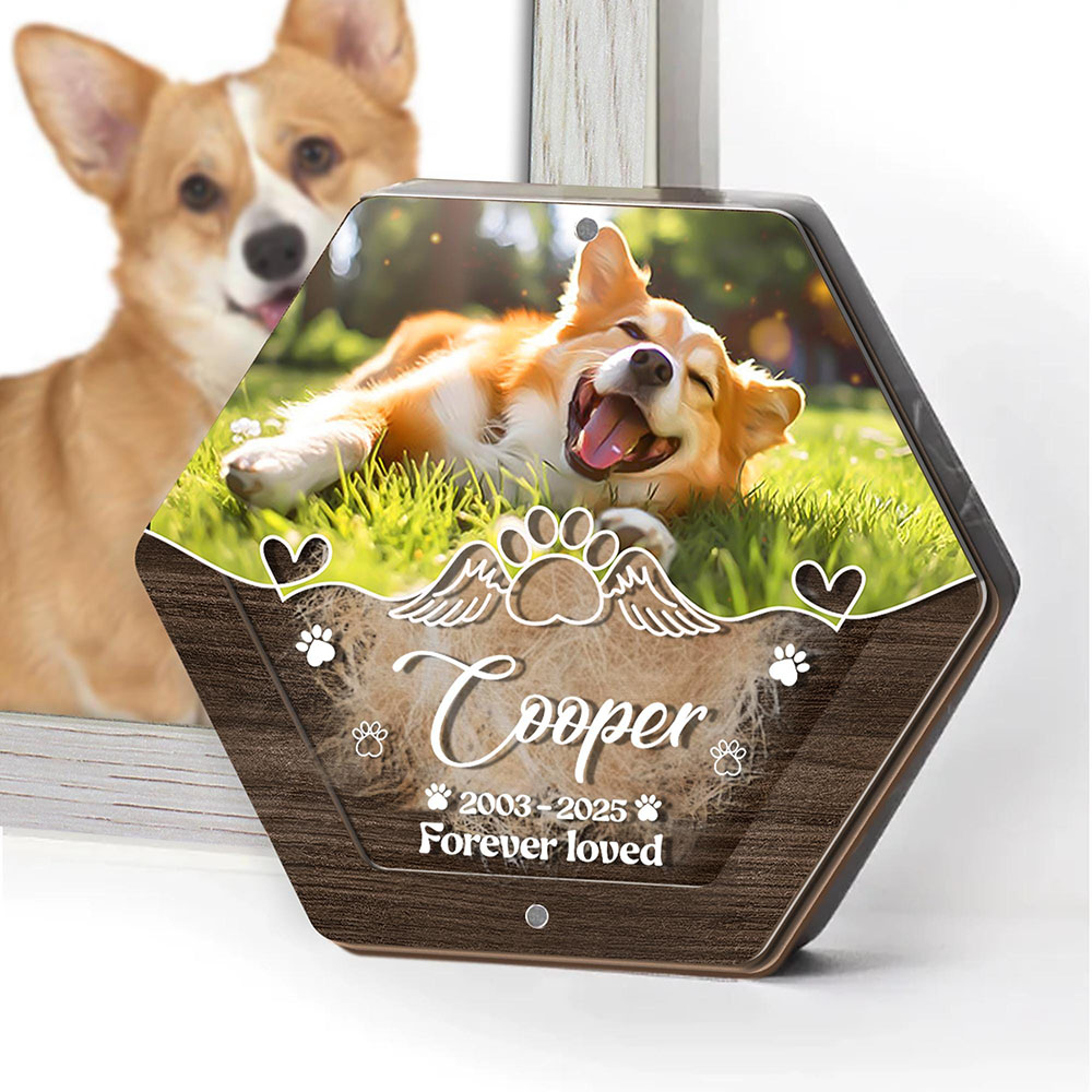 Personalized Name Wooden Carvi – обзор и цена Pet Supplies Store