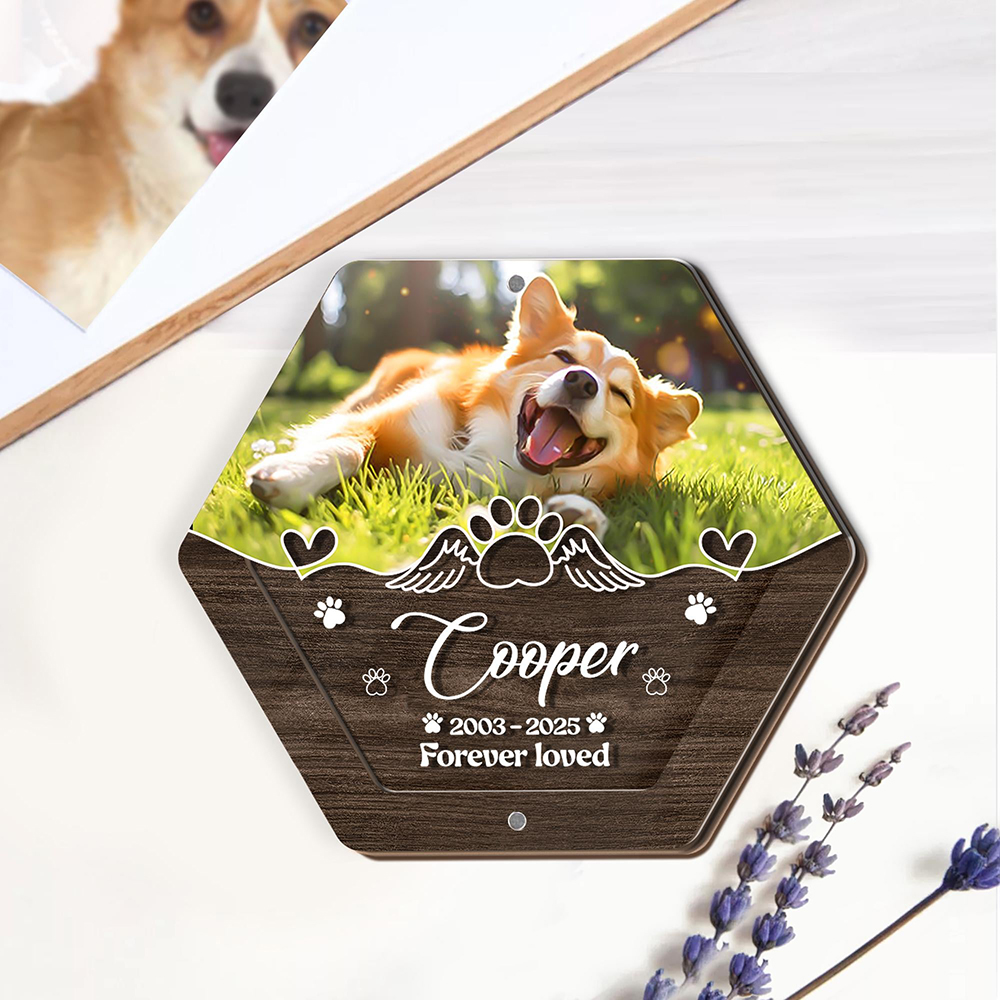 Personalized Name Wooden Carvi – обзор и цена Pet Supplies Store