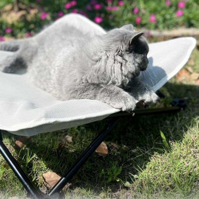 Pet Marching Bed Universal For – обзор и цена Pet Supplies Application