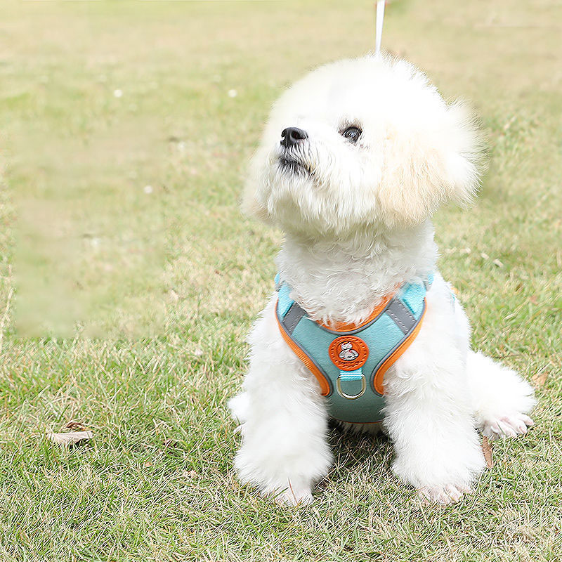 Adjustable dog harness no pull – обзор и цена No Pull Dog Harness