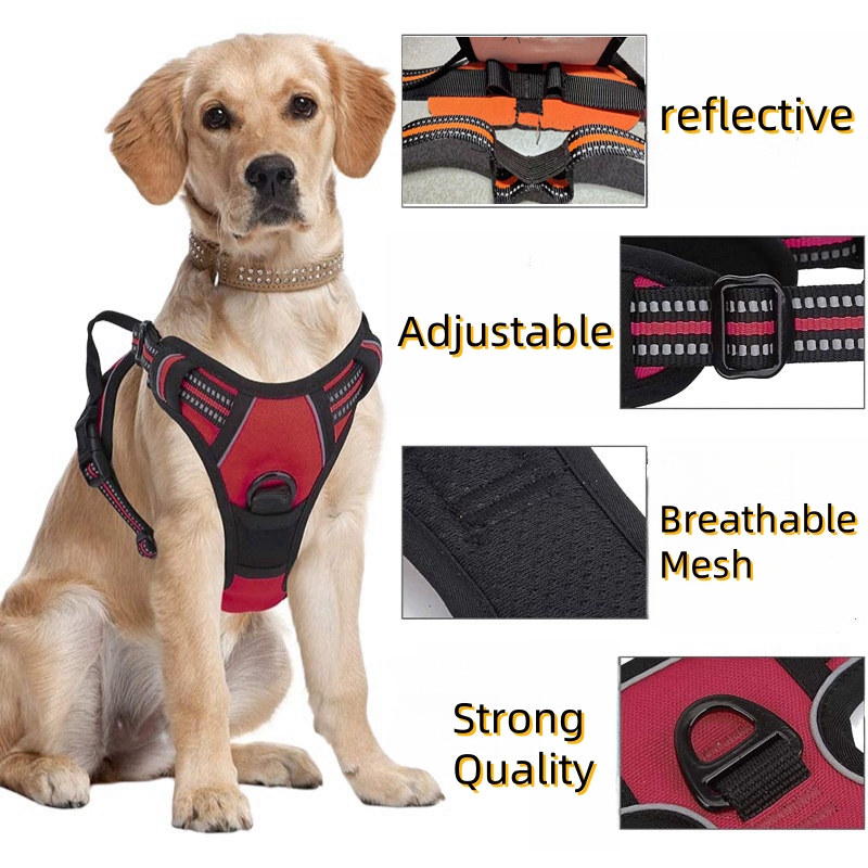 No Pull Dog Harness Large Dog  – обзор и цена No Pull Dog Harness