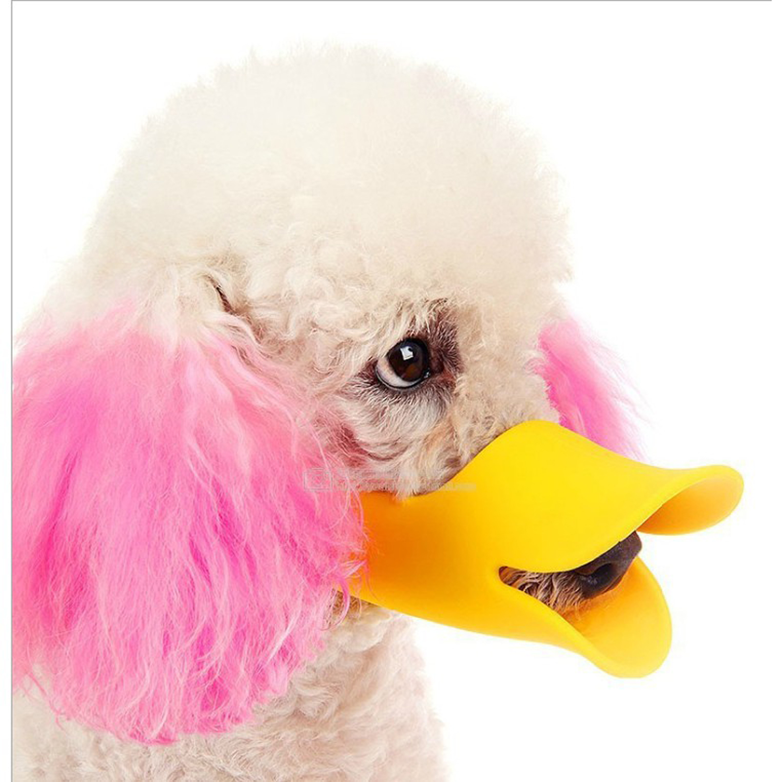 1Pc S M L colorful Dog Silicon – обзор и цена Dog Muzzle Silicone