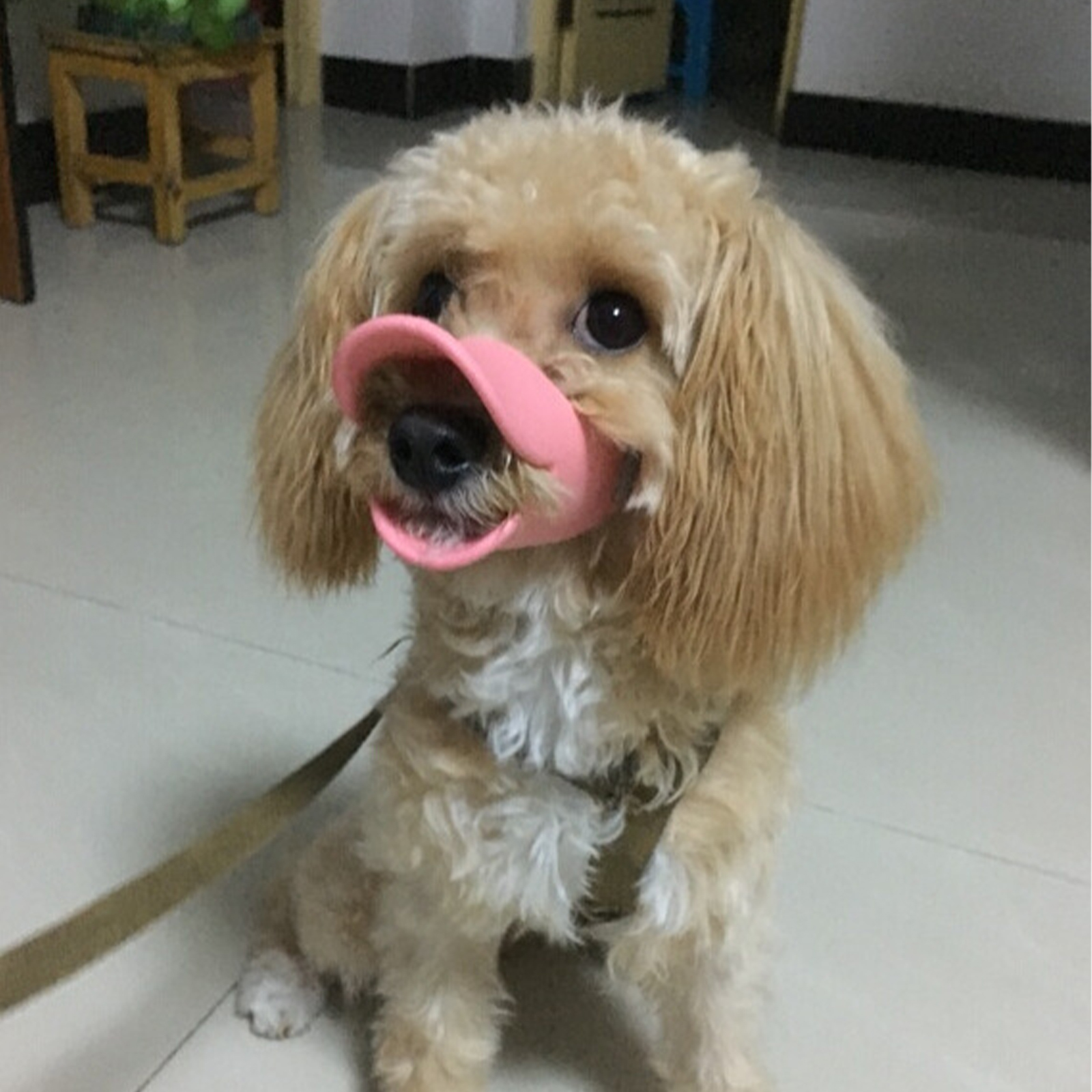 1Pc S M L colorful Dog Silicon – обзор и цена Dog Muzzle Silicone