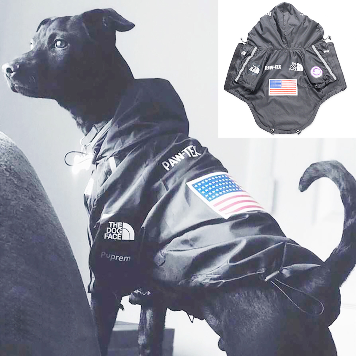 Pet Dog Waterproof Coat Dog Ra – обзор и цена Dog Raincoat