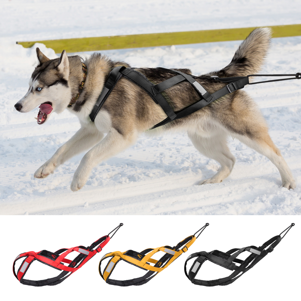 Waterproof Dog Sled Pulling Ha – обзор и цена No Pull Dog Harness