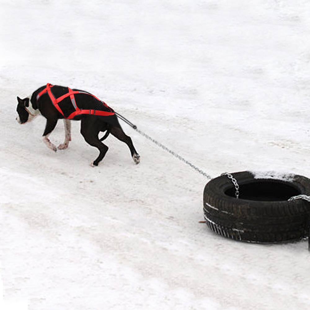 Waterproof Dog Sled Pulling Ha – обзор и цена No Pull Dog Harness