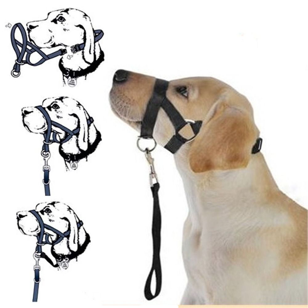 Adjustable Anti barking Non Pu – обзор и цена No Pull Dog Harness