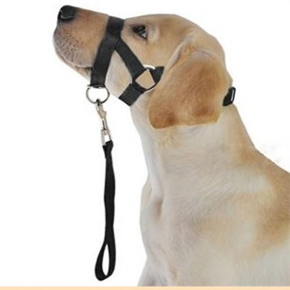 Adjustable Anti barking Non Pu – обзор и цена No Pull Dog Harness
