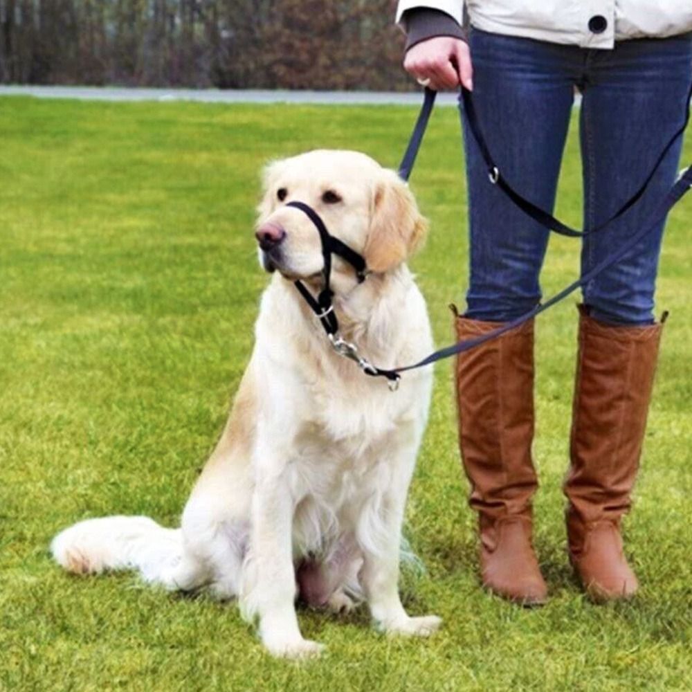 Adjustable Anti barking Non Pu – обзор и цена No Pull Dog Harness
