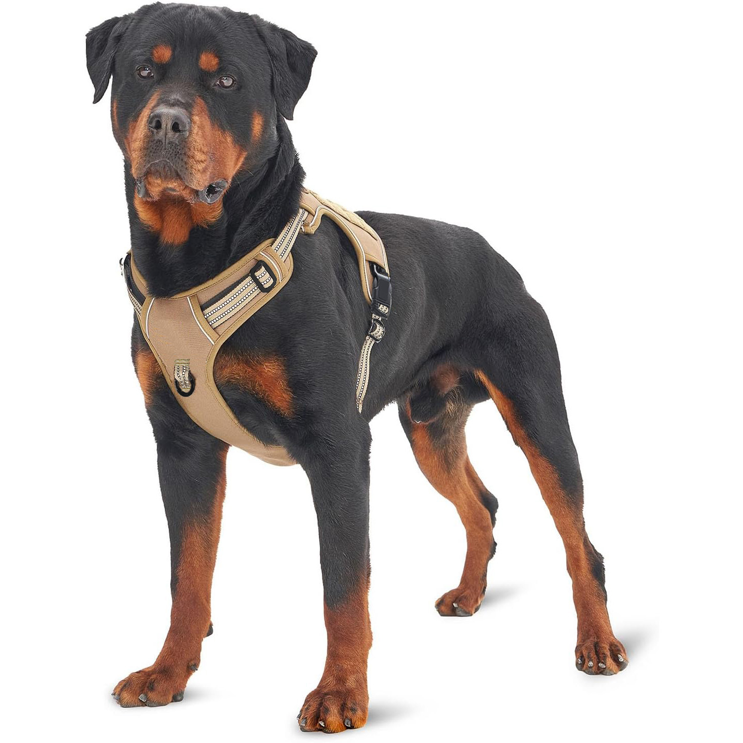 Military Tactical Dog Harness  – обзор и цена No Pull Dog Harness
