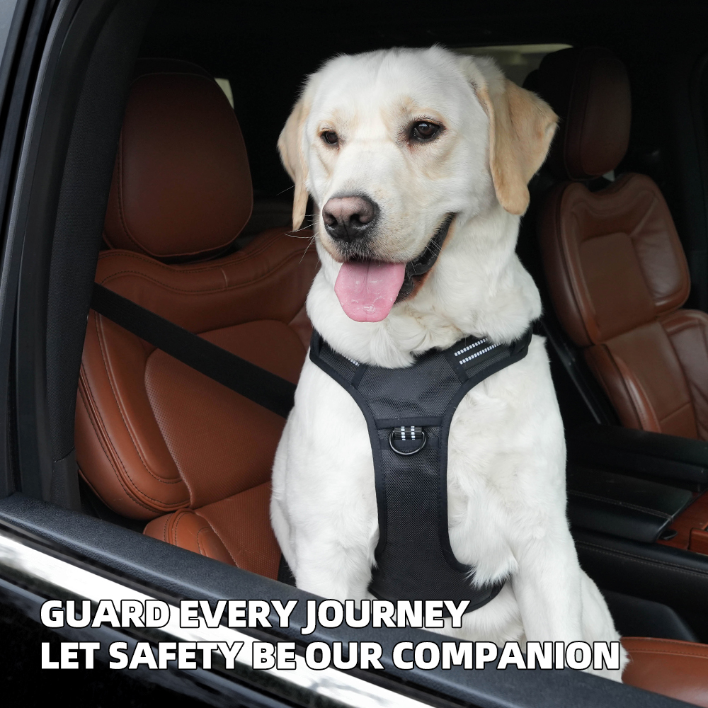 Car Safety Dog Harness for Med – обзор и цена No Pull Dog Harness