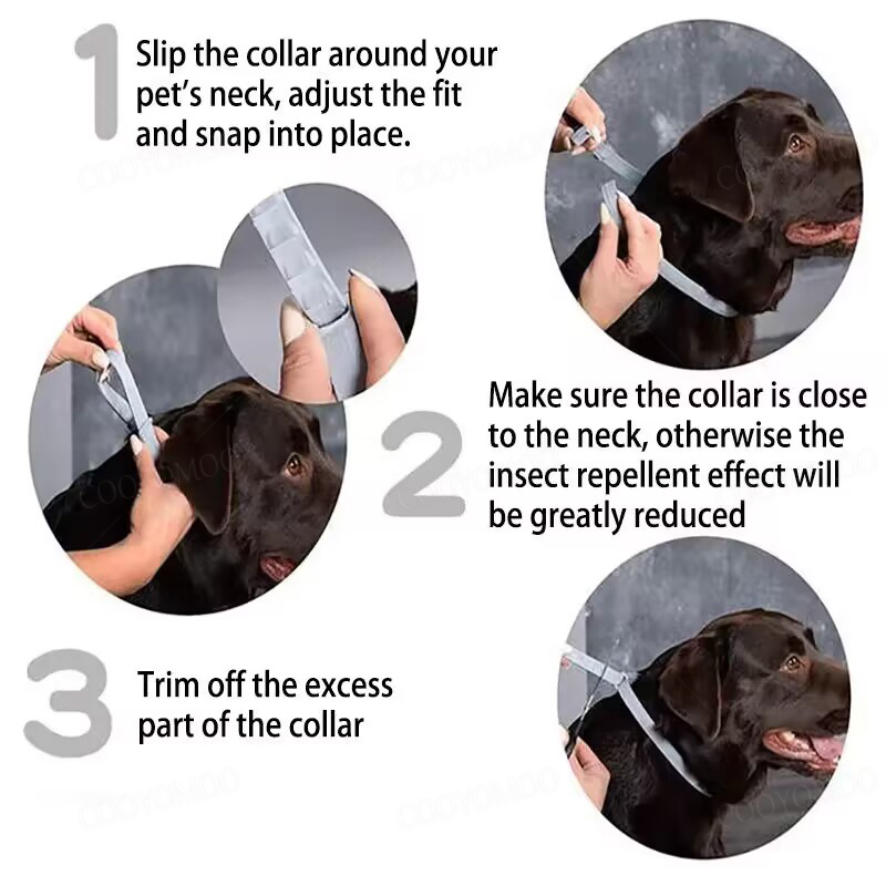 Dog Collars Puppy Dog Cats 72c – обзор и цена Dog Muzzle Silicone