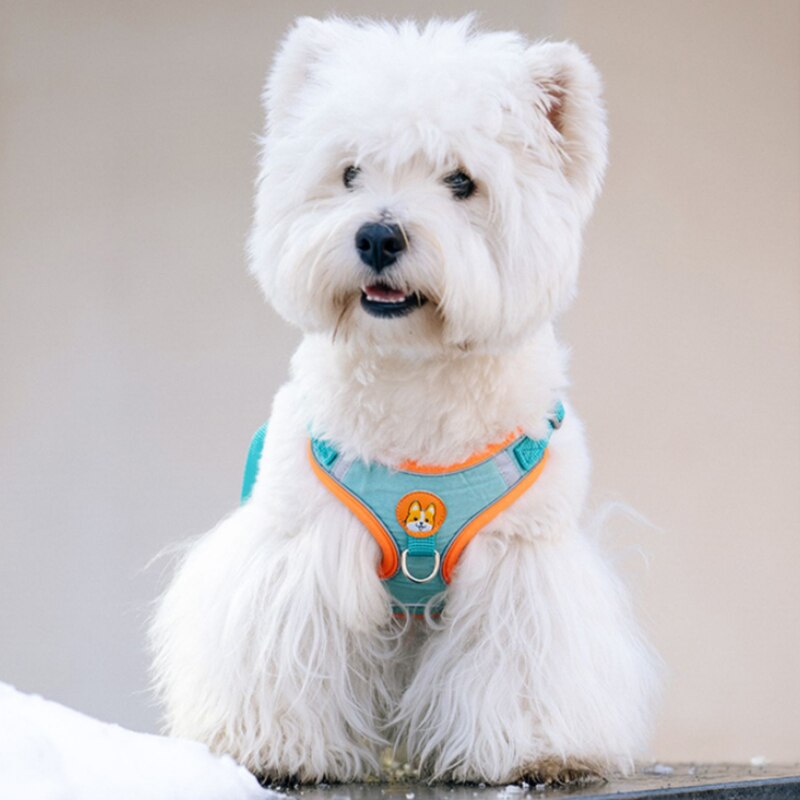Adjustable No Pull Pet Reflect – обзор и цена No Pull Dog Harness