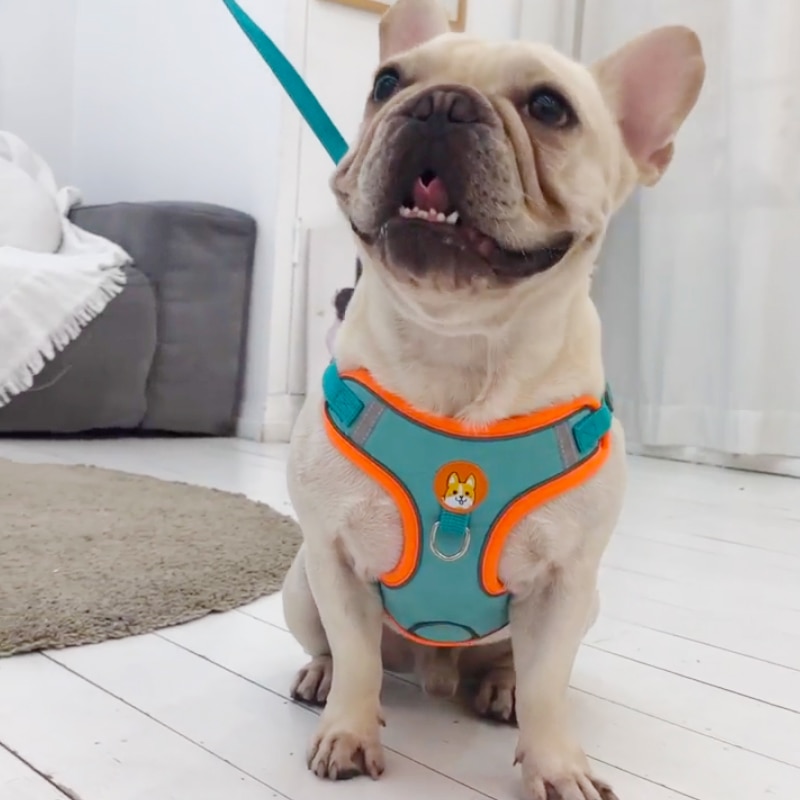 Adjustable No Pull Pet Reflect – обзор и цена No Pull Dog Harness